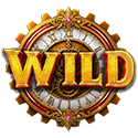 Symbol Wild