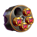 Symbol Random wilds