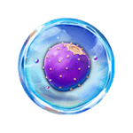 Symbol Purple Strawberry