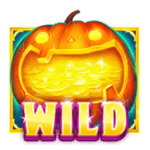 Symbol Wild