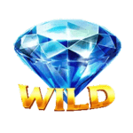 Symbol Wild