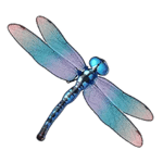 Symbol Dragonfly