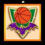 Symbol Bat Logo