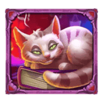 Symbol Cat