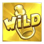 Symbol Wild