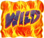 Symbol Wild