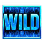 Symbol Wild