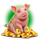 Symbol Pig