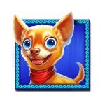 Symbol Chihuahua