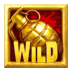 Symbol Wild