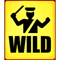 Symbol Wild