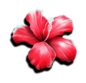 Symbol Hibiscus