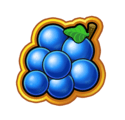 Symbol Grape