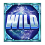 Symbol Wild