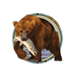 Symbol Bear