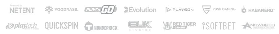 Software Providers