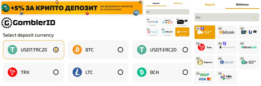 Payment Methods at Dragon Money Casino
