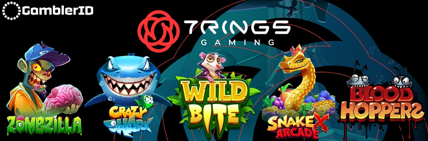 7Rings Gaming Review: Honest Look at New Slot Studio (RTP, Top Slots & Demo)