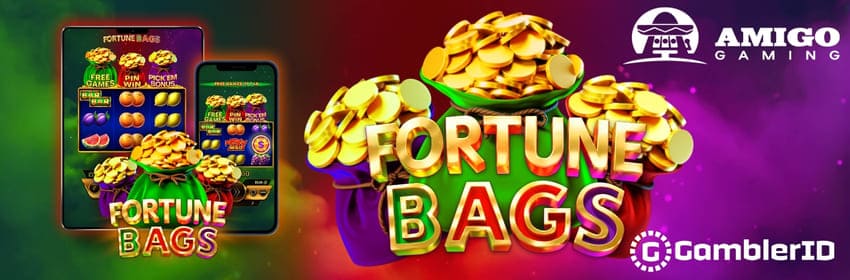 Fortune Bags Slot Banner