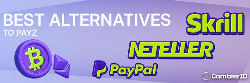 Best Alternatives to Payz