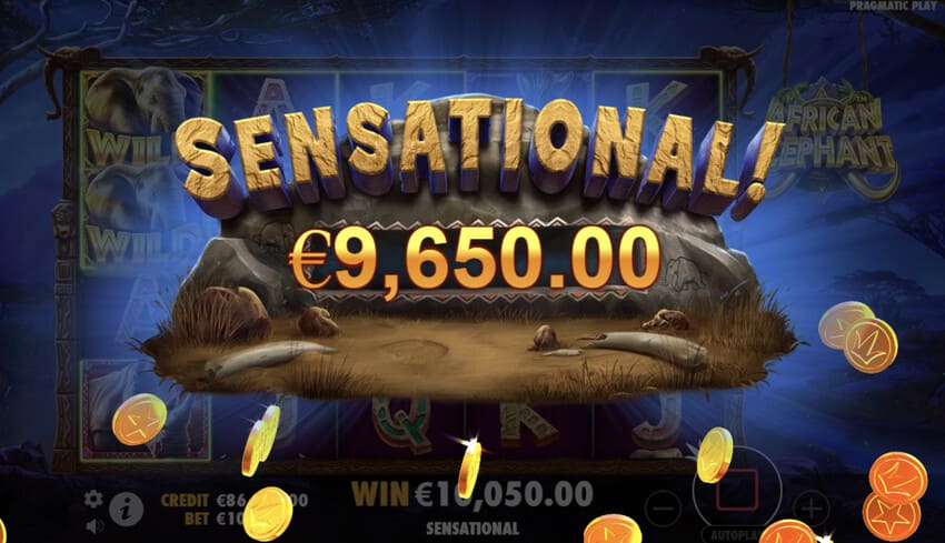 African Elephant - Big Win