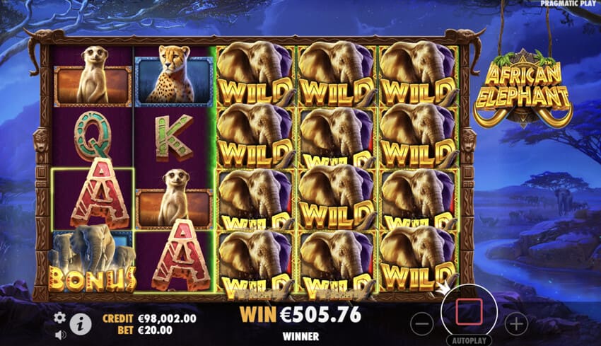 African Elephant - Free Spins