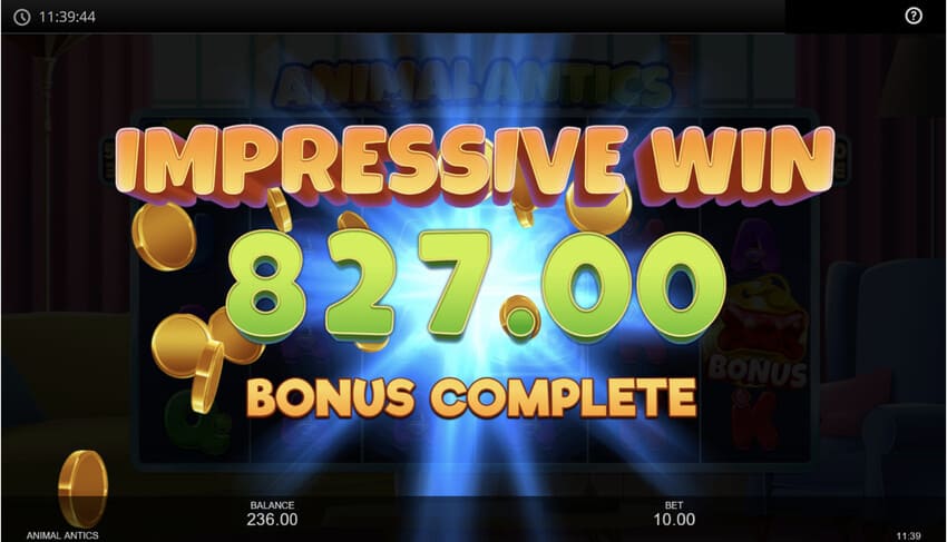 Animal Antics - Big Win