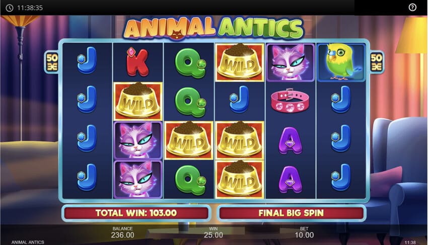 Animal Antics - Free Spins