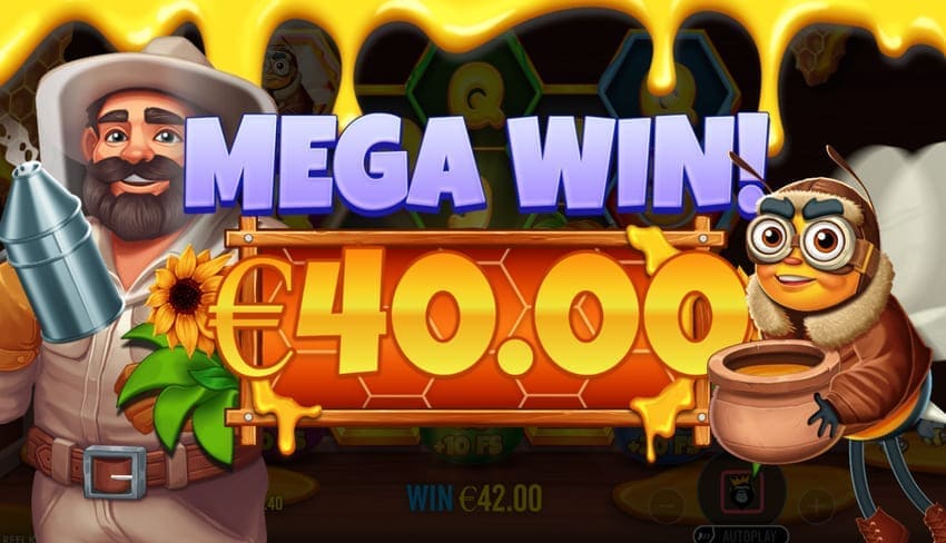 Mega Win 40 Euro in The Bee Keeper Slot