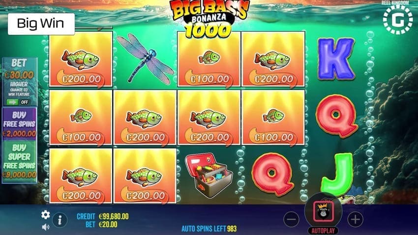Winning combinations - Big Bass Bonanza 1000 Slot