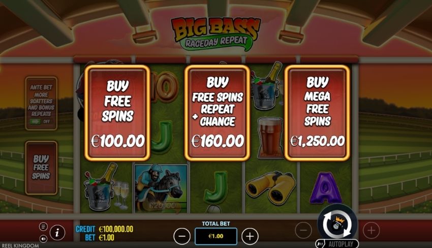 There are 3 options to purchase a bonus from x100 to x1,250 of your bet