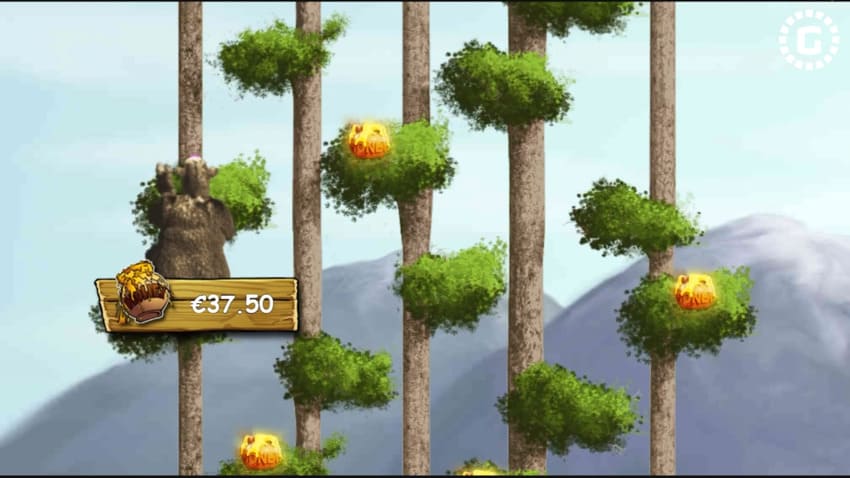 Bonus Bears - Honey Feature