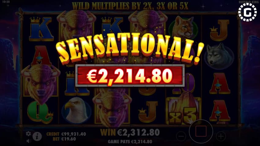 Buffalo King - Big Win