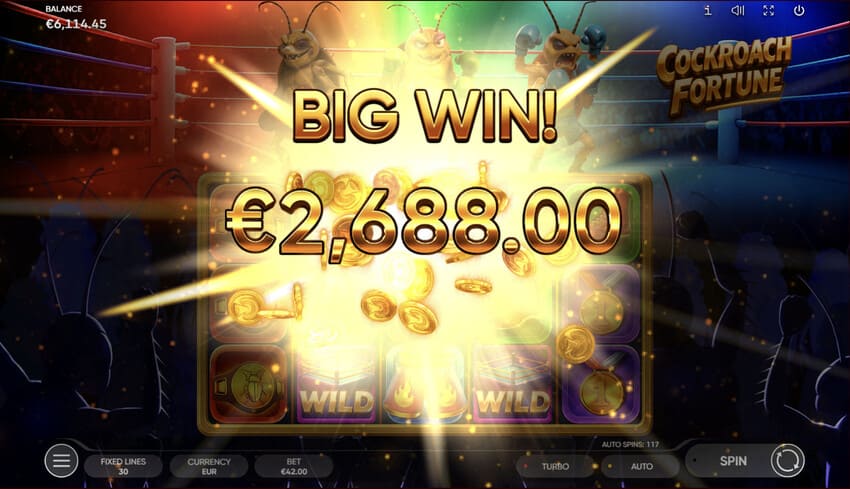 Cockroach Fortune - Big Win