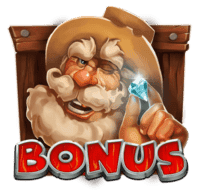 Bonus Symbol