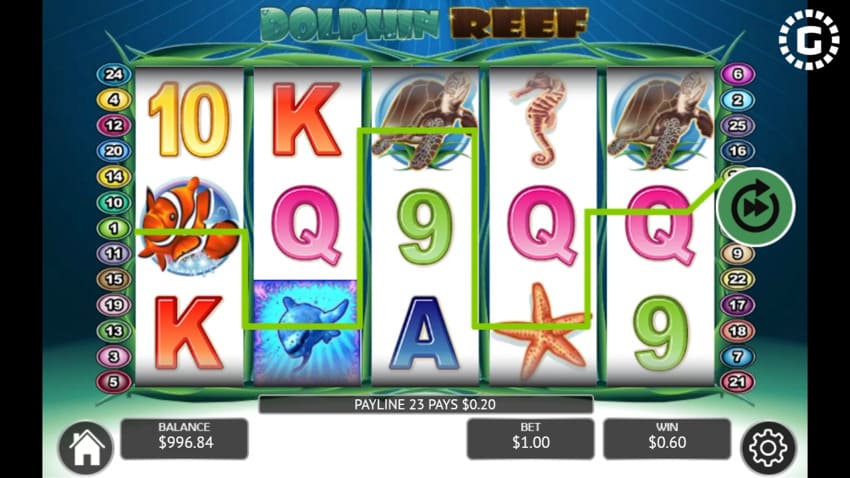 Dolphin Reef - Base Game