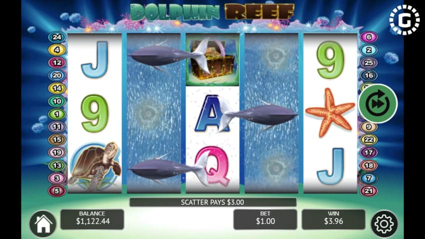 Dolphin Reef - Re-Spin
