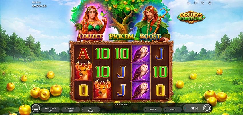 Druid's Fortune - Base Game