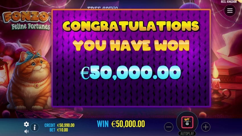 Congratulations WIn - Fonzo's Feline Fortunes