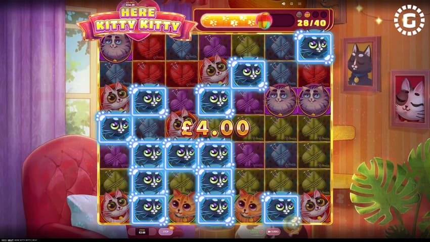 Here Kitty Kitty - Base Game