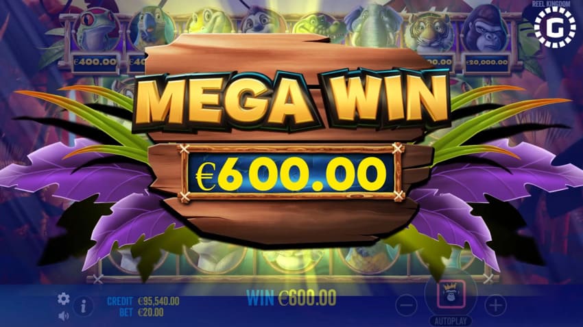 Jumbo Safari - Big Win