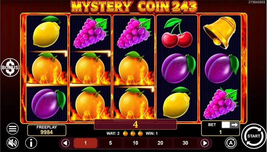 Mystery Coin 243 Slot - Base Game