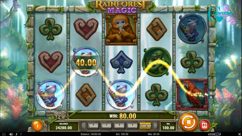Rainforest Magic - Base Game