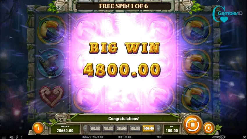 Rainforest Magic - Big Win