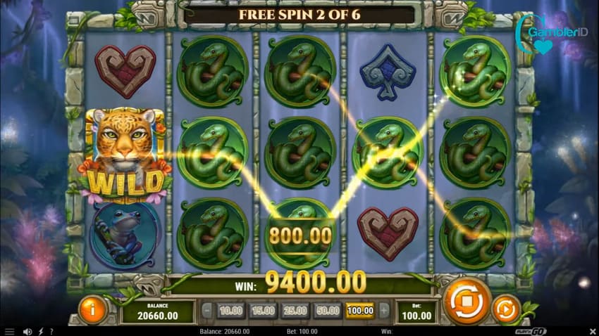 Rainforest Magic - Free Spins