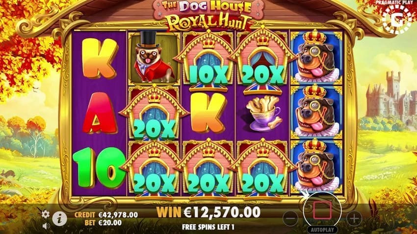 Free Spins (FS) Win - The Dog House Royal Hunt Slot