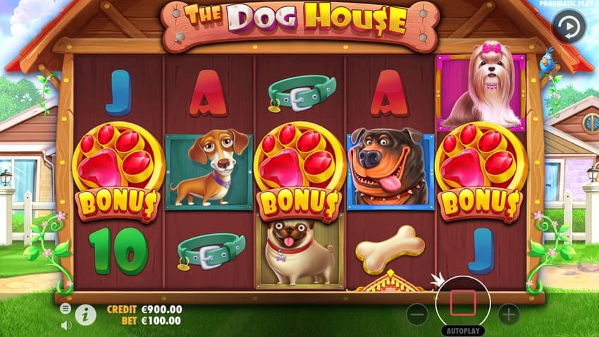 Bonus symbols - The Dog House 